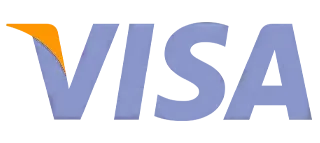 Платежная система Visa Платежная система Visa