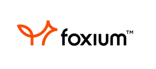 Провайдер Foxium